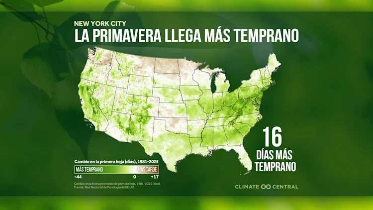 CM: Local Start of Spring 2026 (ES)