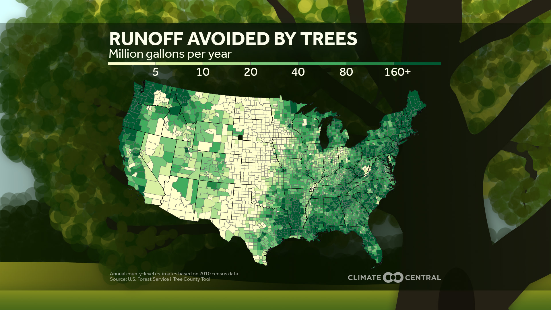 CM: Stormwater Runoff Avoided by Trees 2023 (EN)