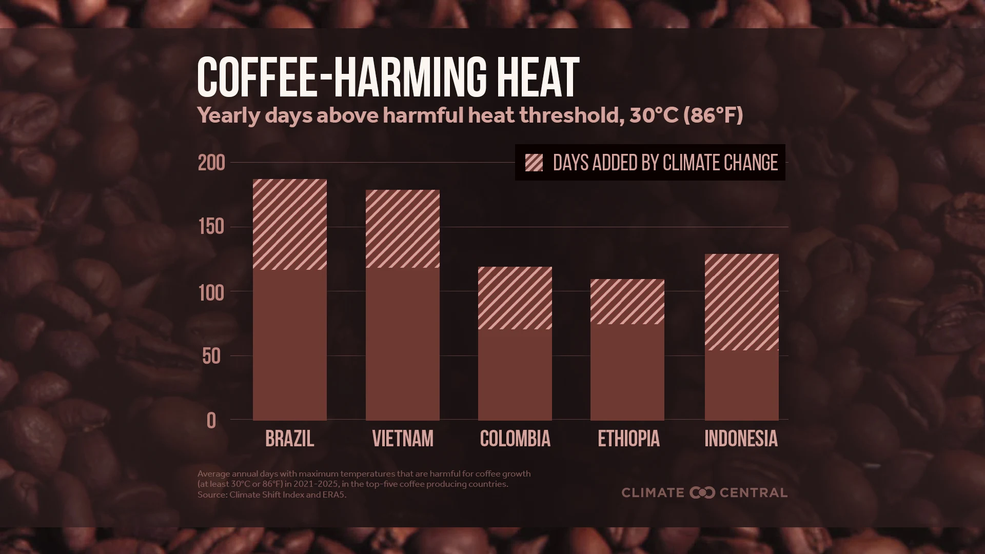 CM: Coffee-harming heat for top growers 2026 (EN)