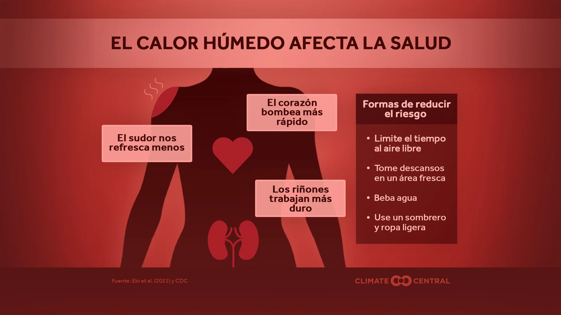 CM: Humid Heat Impacts Health 2026 (ES)