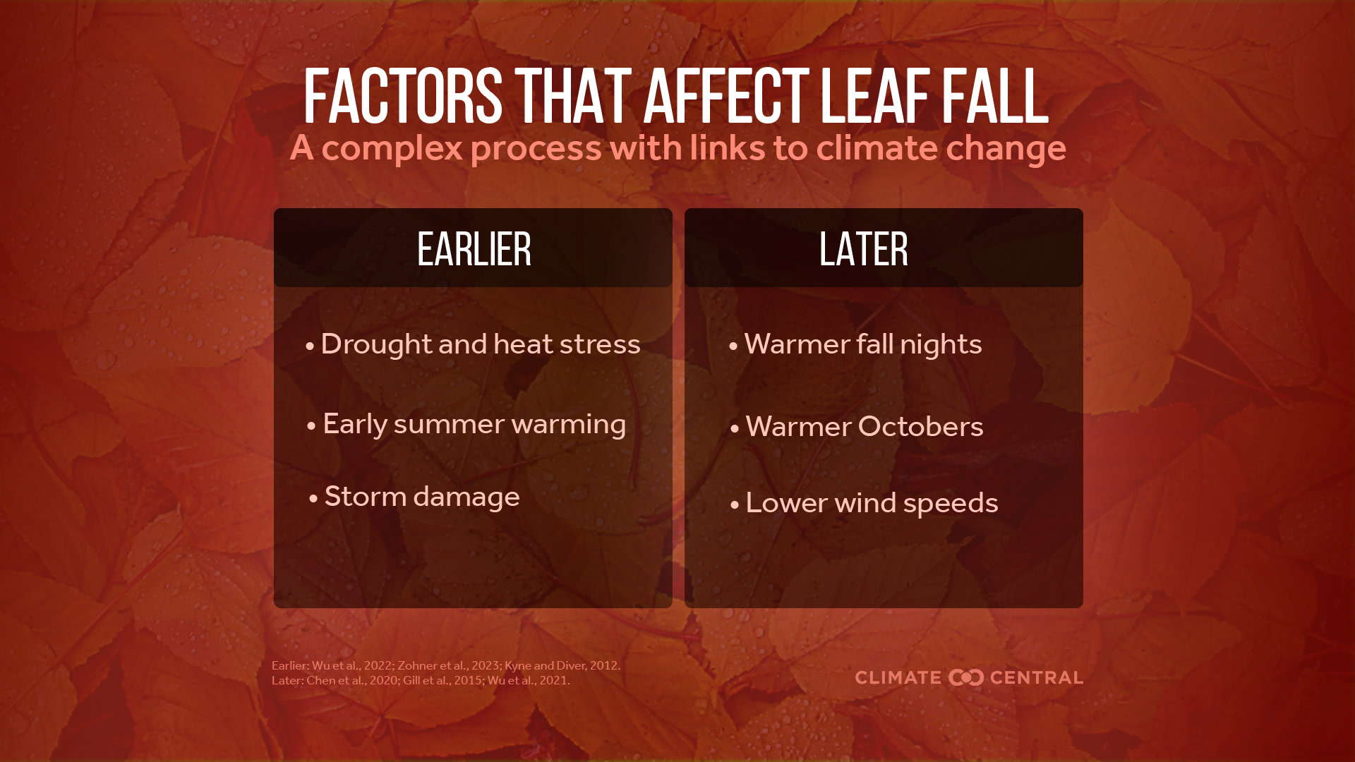 CM: Factors Affecting Foliage Timing 2024 (EN)