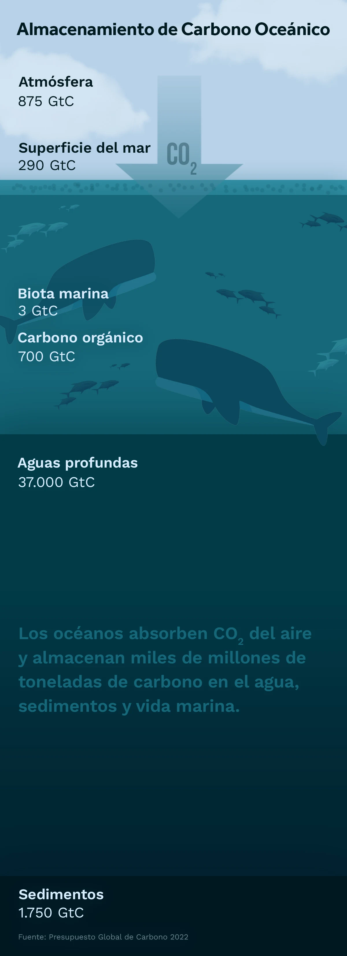 CM: World Oceans Day Report 2023 (ES)