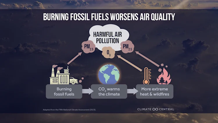 CM: Fossil Fuels and Air Quality 2025 (EN)