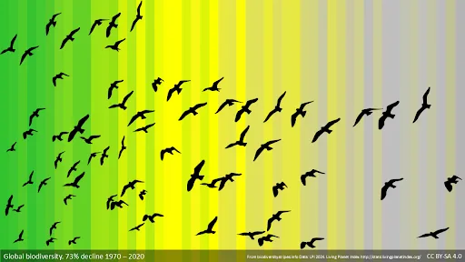 CM: Biodiversity Stripes for Birds 2026