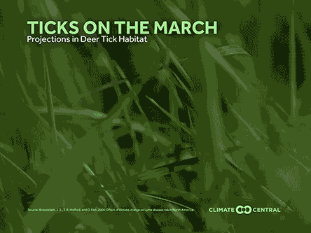 PJ: Ticks Are Thriving in Southwest Virginia. Here’s What That Means for Your Health. - Graphic 2 2025 