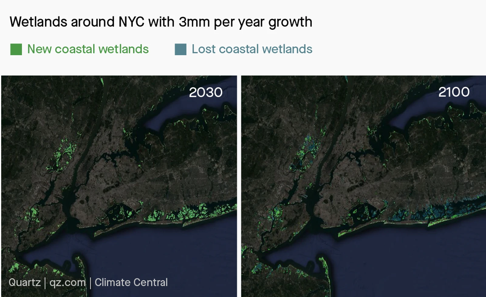 PJ: US coastal wetlands, Quartz 4