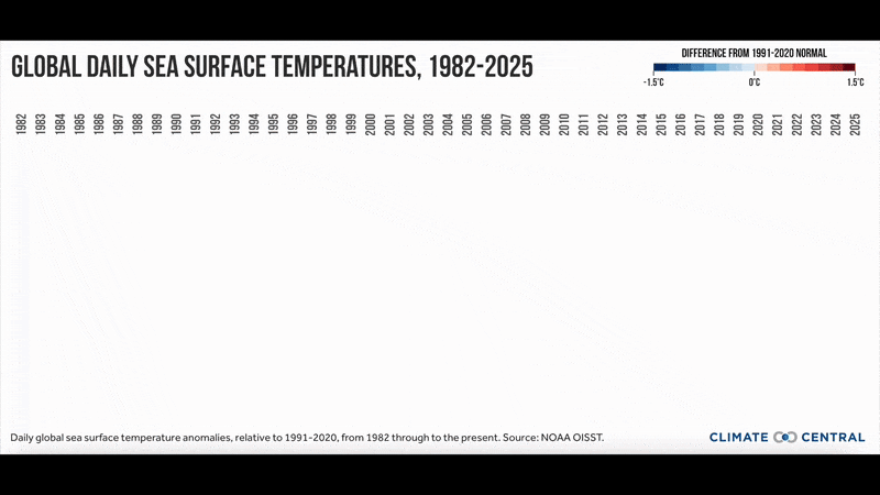 CM: Global Sea Surface Temperature Animation 2025 (EN)