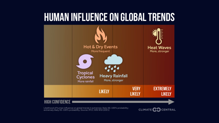 CM: Human Influence on Global Trends 2024 (EN)