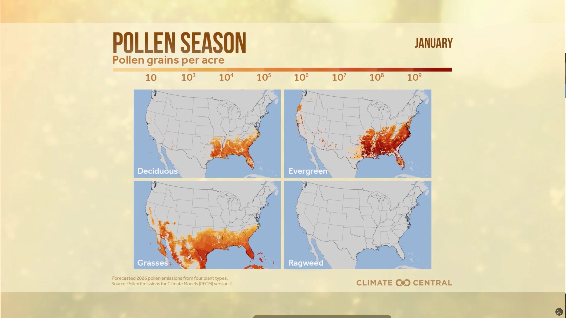 CM: 2026 Pollen Season (EN)