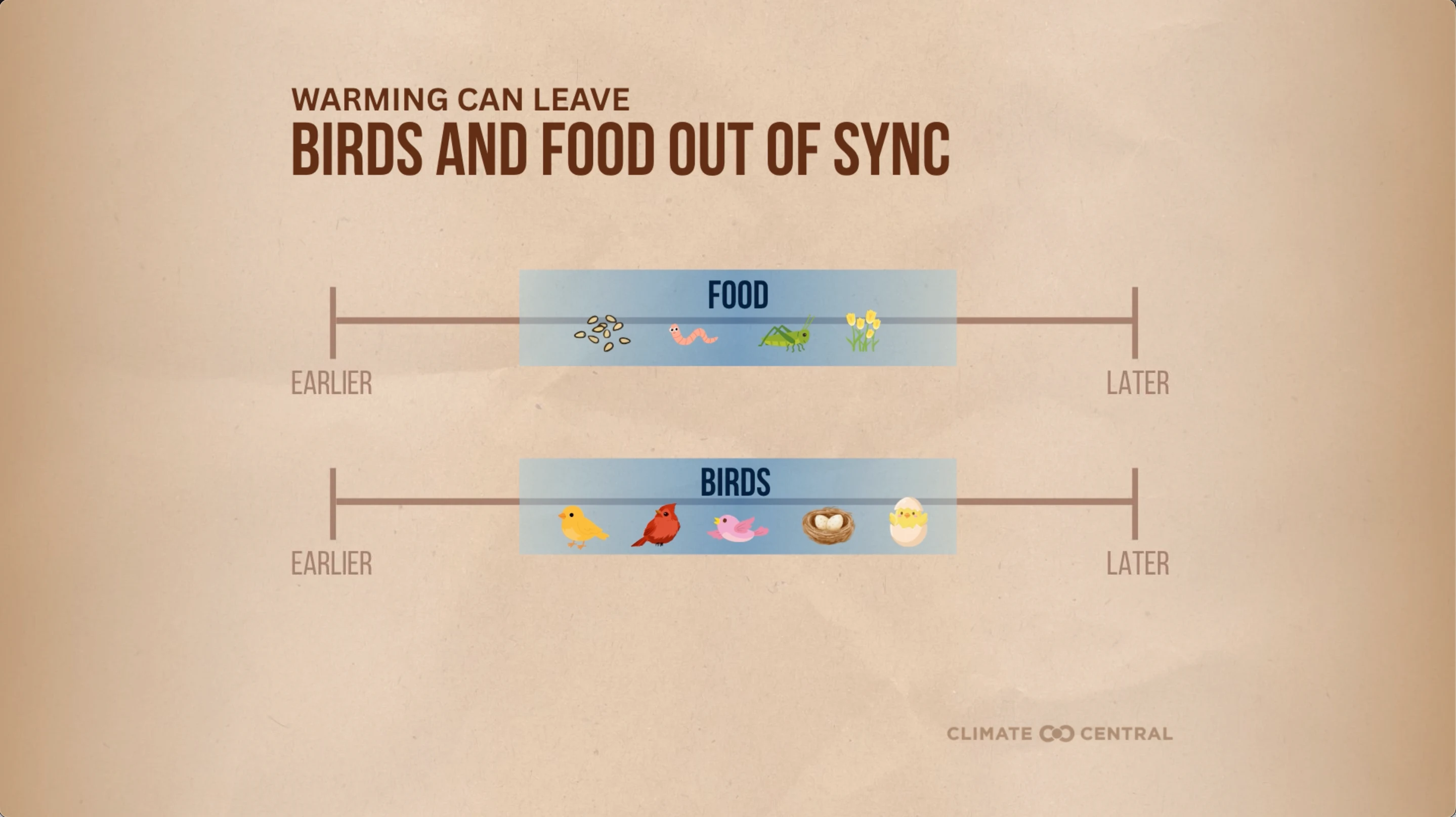 CM: Birds and Food Out of Sync 2026 (EN)