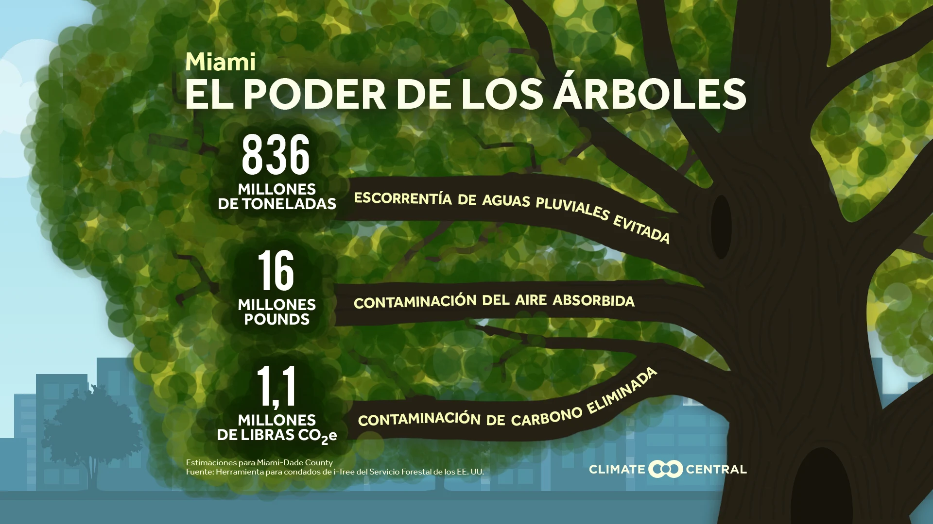 CM: Local Power of Trees 2023 (ES)