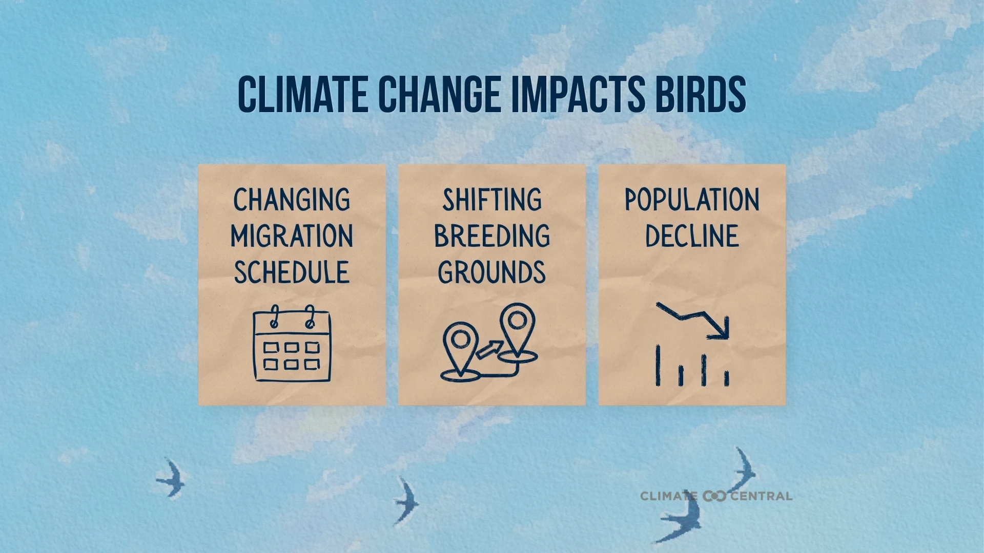 CM: Climate Change Impacts Birds 2026 (EN)