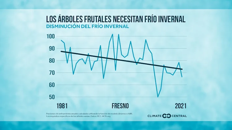 CM: Local Chill Trends 2023 (ES)