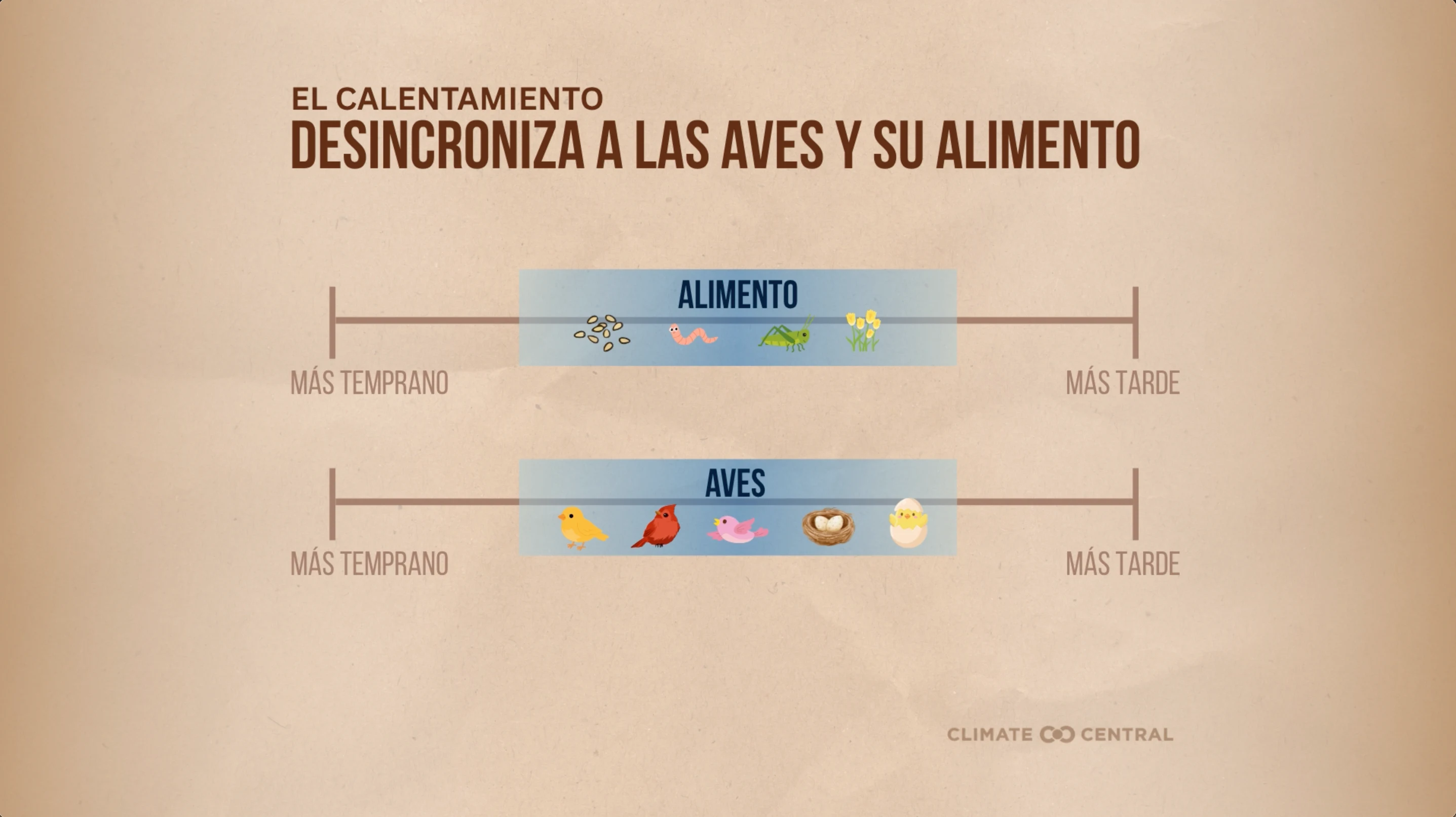 CM: Birds and Food Out of Sync 2026 (ES)