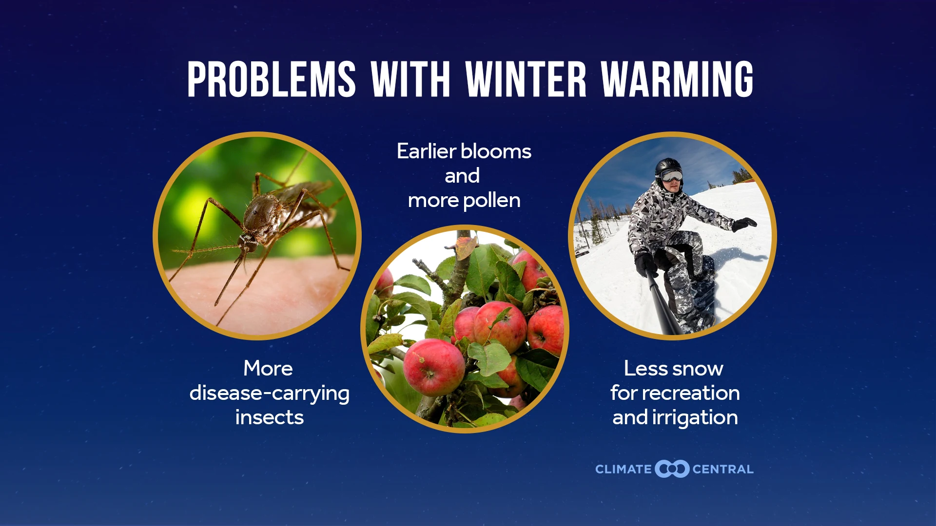 CM: Problems with Winter Warming 2025 (EN)