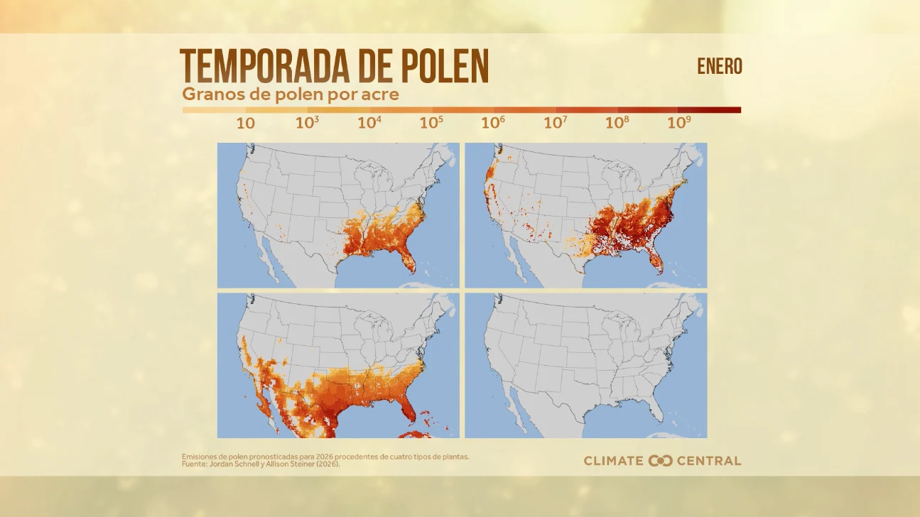 CM: 2026 Pollen Season (ES)