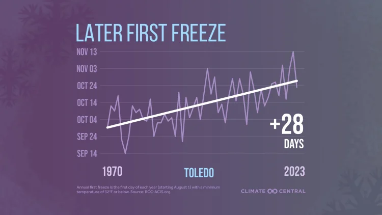 CM: First Freeze Trend 2024 (EN)