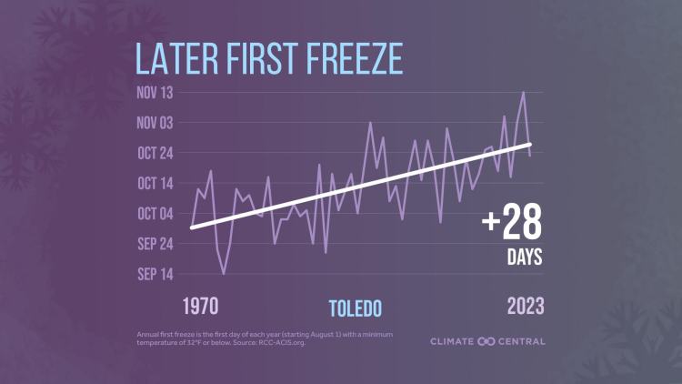 CM: First Freeze Trend 2024 (EN)