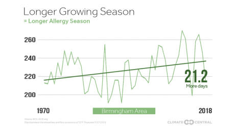 Your Changing Allergy Season