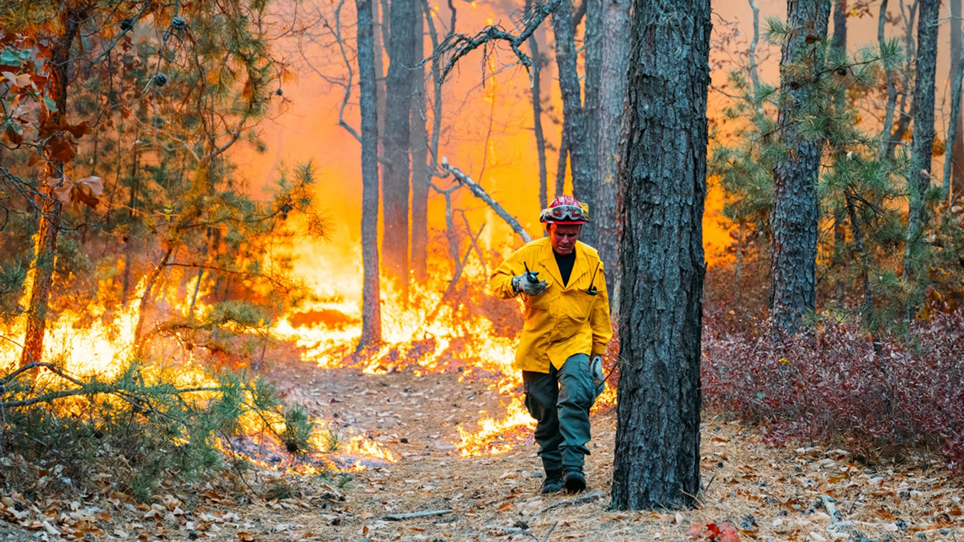 PJ: Drought, record warmth fuel historic wildfire risk in NJ 2