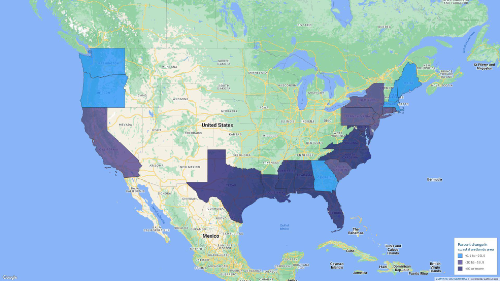 Vulnerability And Resilience Of U S Coastal Wetlands To Sea Level Rise   Wetlands Change Map 2 