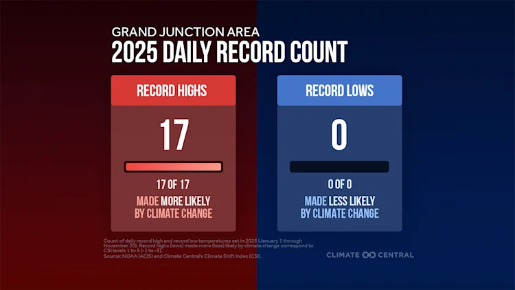 CM: Daily Records in 2025 (EN)