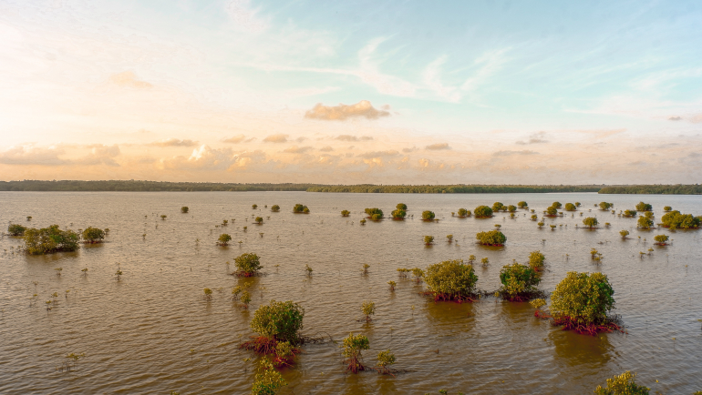 Report Coastal Flood Risk To Affordable Housing Projected To Triple By   Rachman Reilli 5g3sxyGA0Aw Unsplash 770 434 S C1 C C 