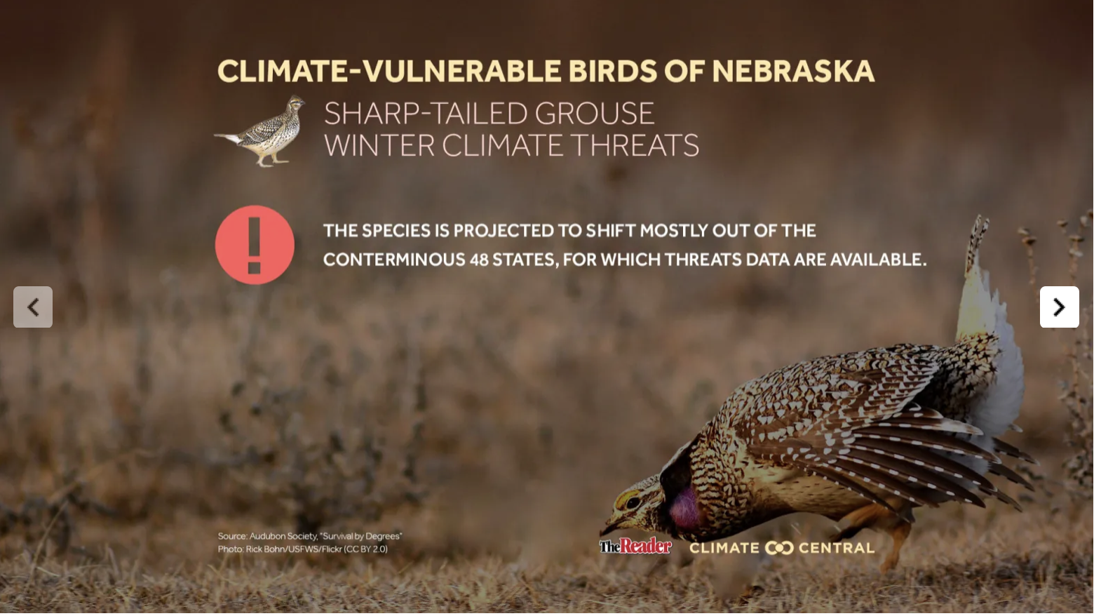 The View From Above: Climate Change Poses Threats To Nebraska’s Birds ...