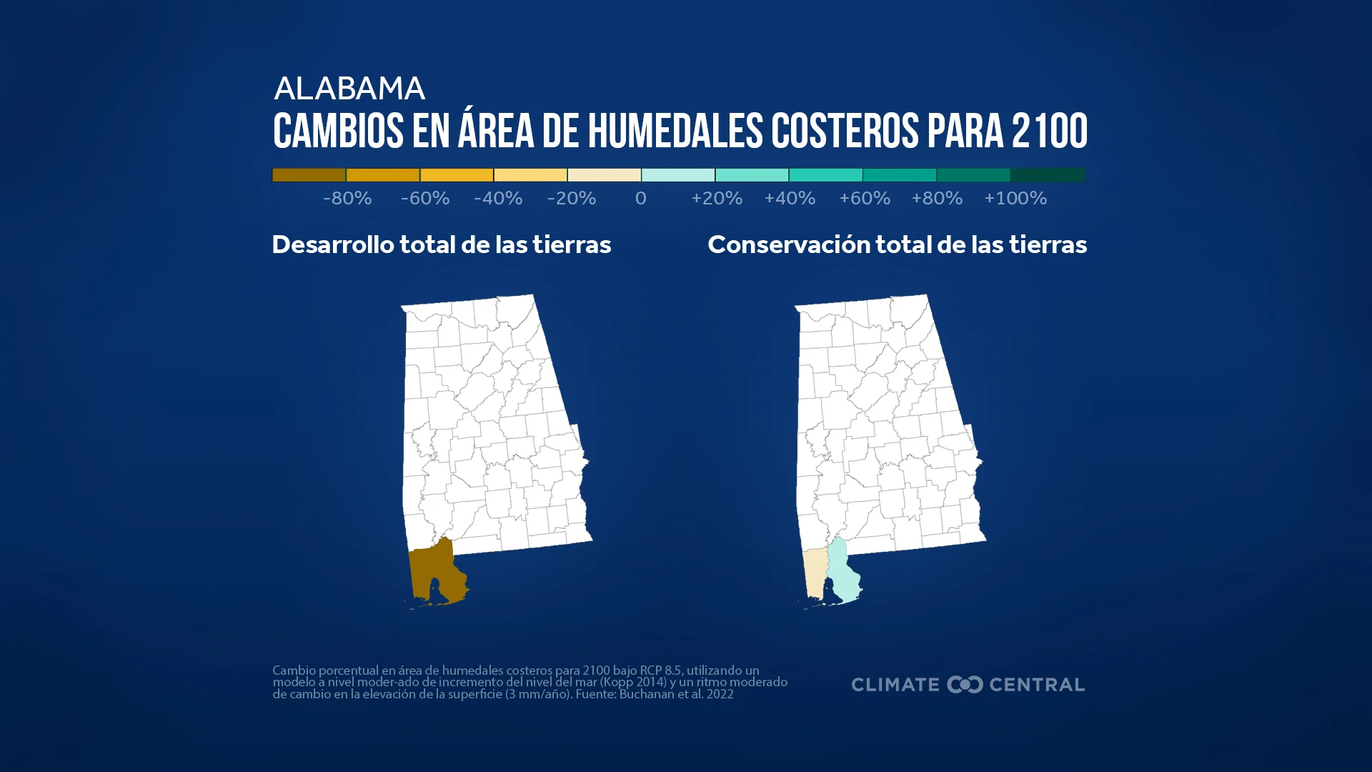 Cambio porcentual en el área de humedales para 2100 - Coastal Wetlands at Risk