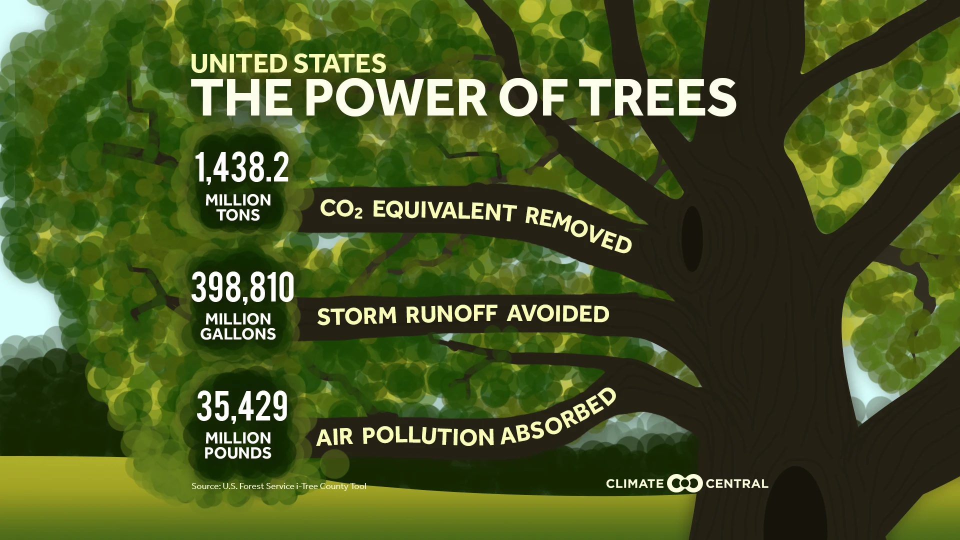 trees - U.S.