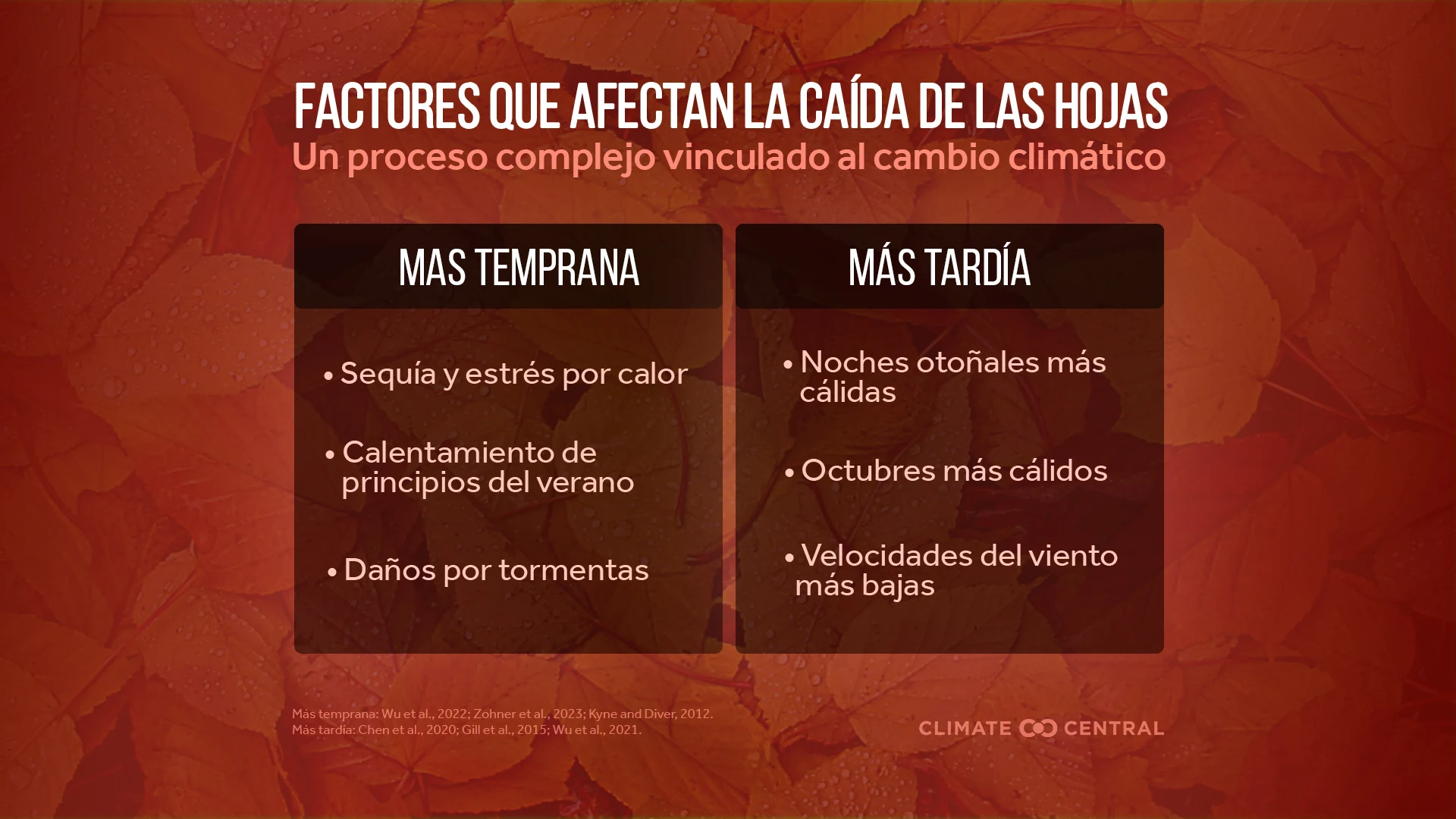 CM: Factors Affecting Foliage Timing 2024 (ES)