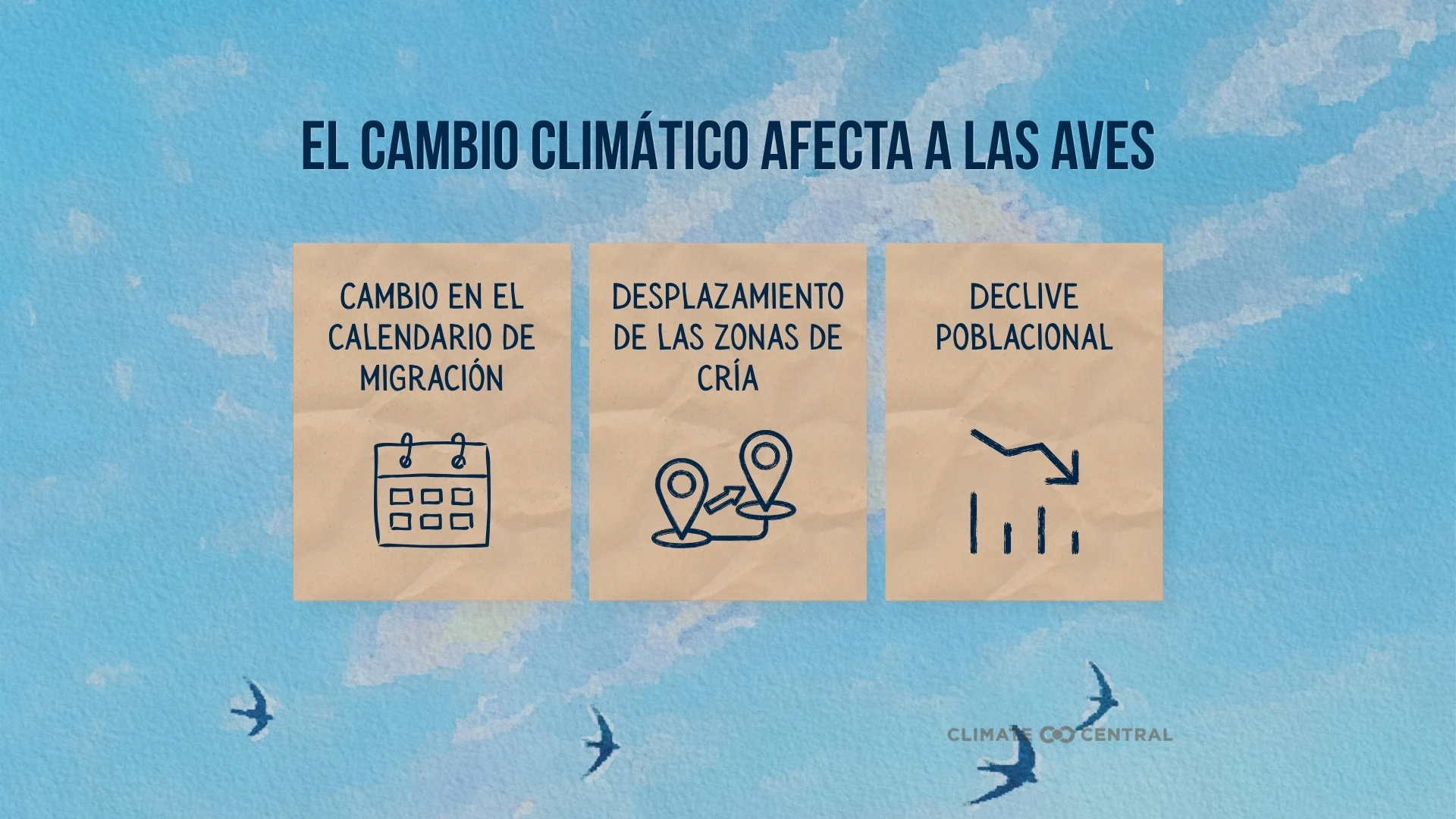 CM: Climate Change Impacts Birds 2026 (ES)