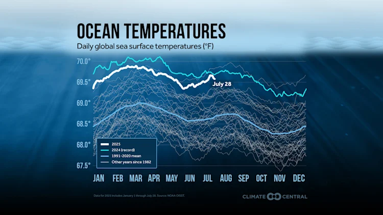 CM: Daily Global Sea Surface Temperatures 2025 (EN)