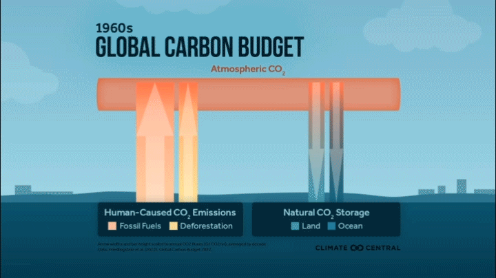CM: Global Carbon Budget from 1960 (EN)