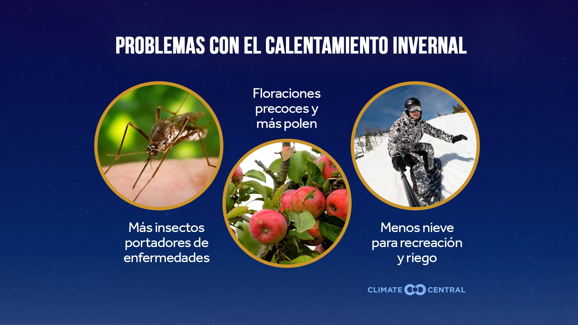 CM: Problems with Winter Warming 2023 (ES)