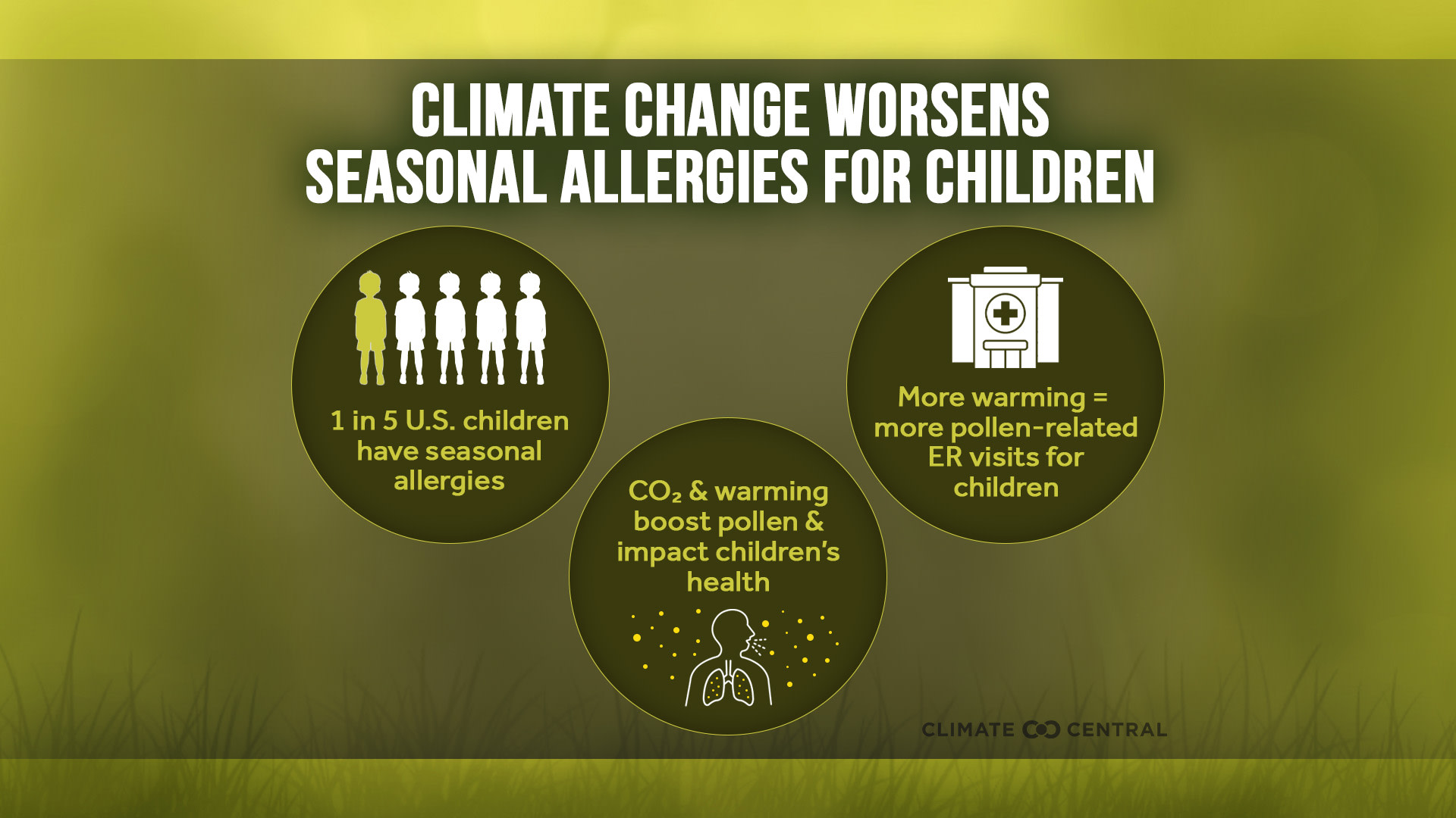 CM: Climate Change and Allergies in Children (three key points) 2024 (EN)