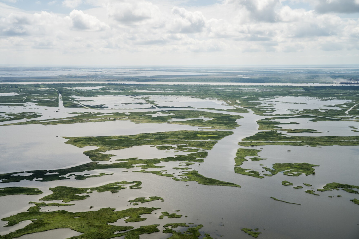 Shrinking wetlands, rising seas threaten generations of tradition for ...