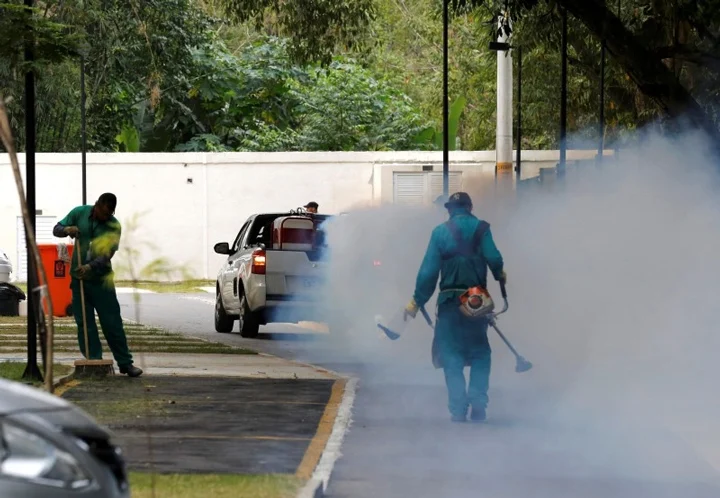 Scientists Tease Out Climate Change's Role in Zika Spread | Climate Central