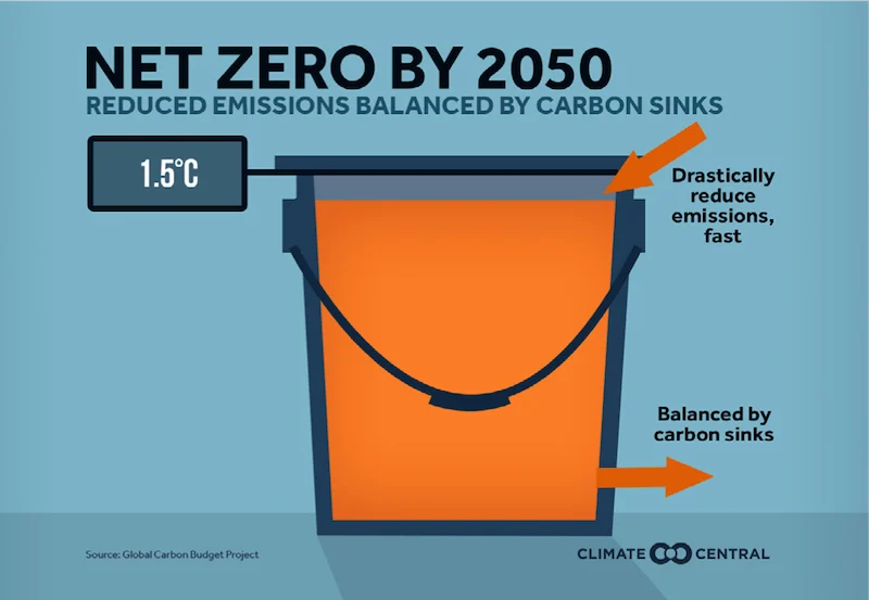 net zero carbon explainer