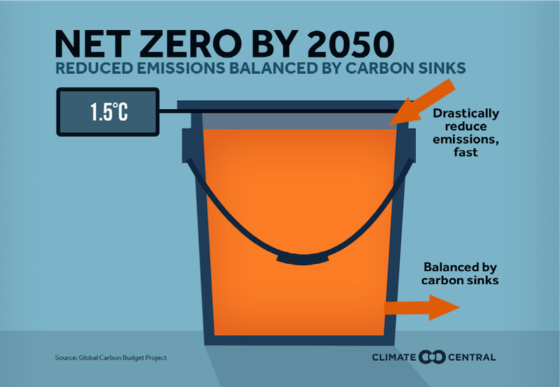 net zero carbon explainer