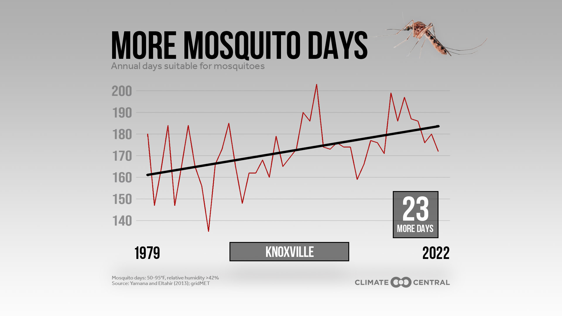 PJ: Mosquito Days with WVLT TN 2023 