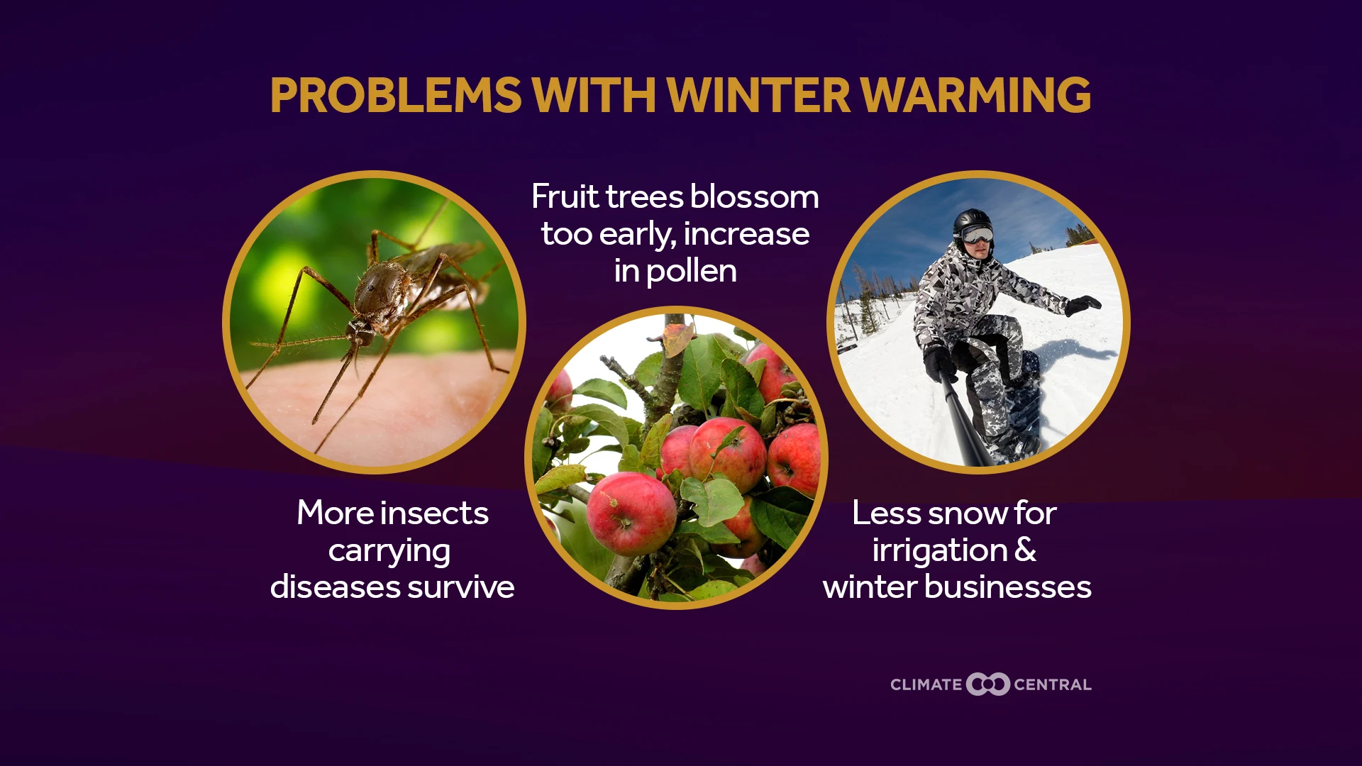 extreme cold impacts