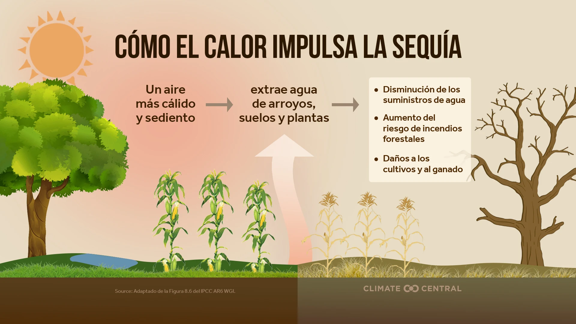 CM: Heat-Driven Drought 2025 (ES)