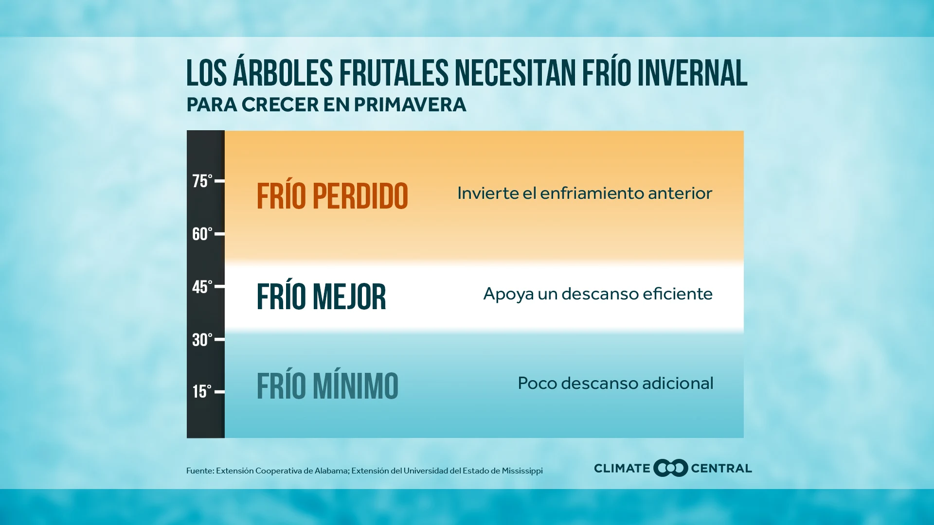 CM: Chill Matters 2023 (ES)