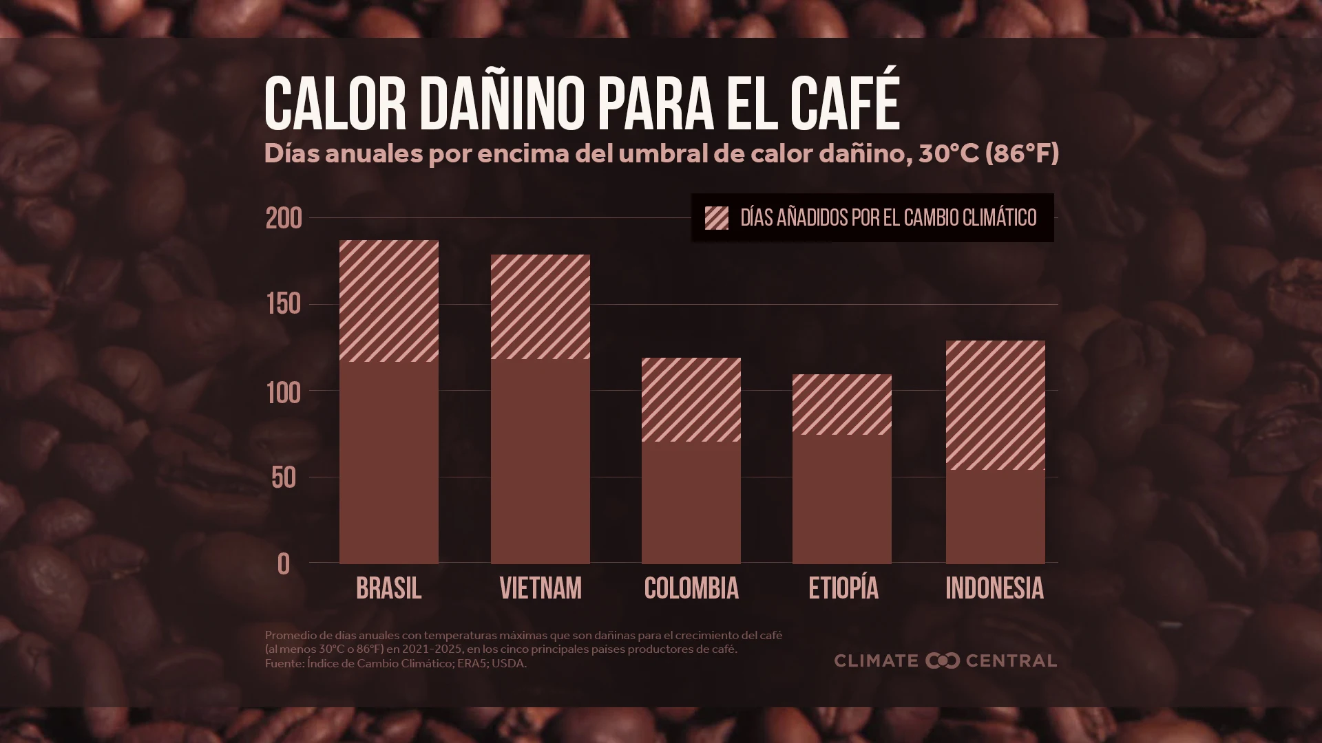 CM: Coffee-harming heat for top growers 2026 (ES)
