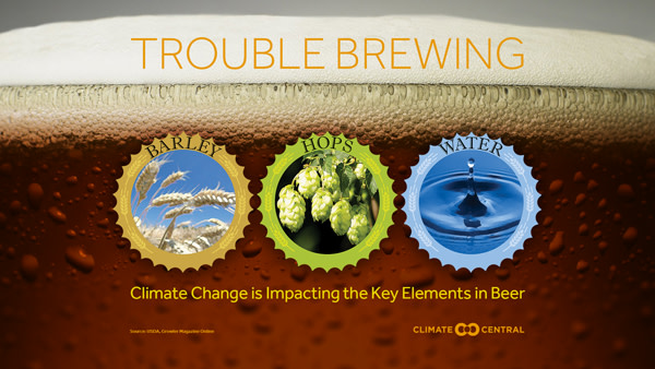 beer and climate change