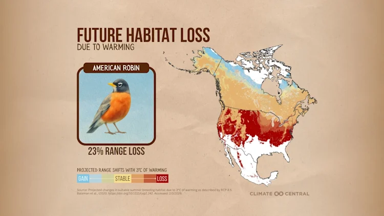 CM: Future Range Shifts 2026 (EN)