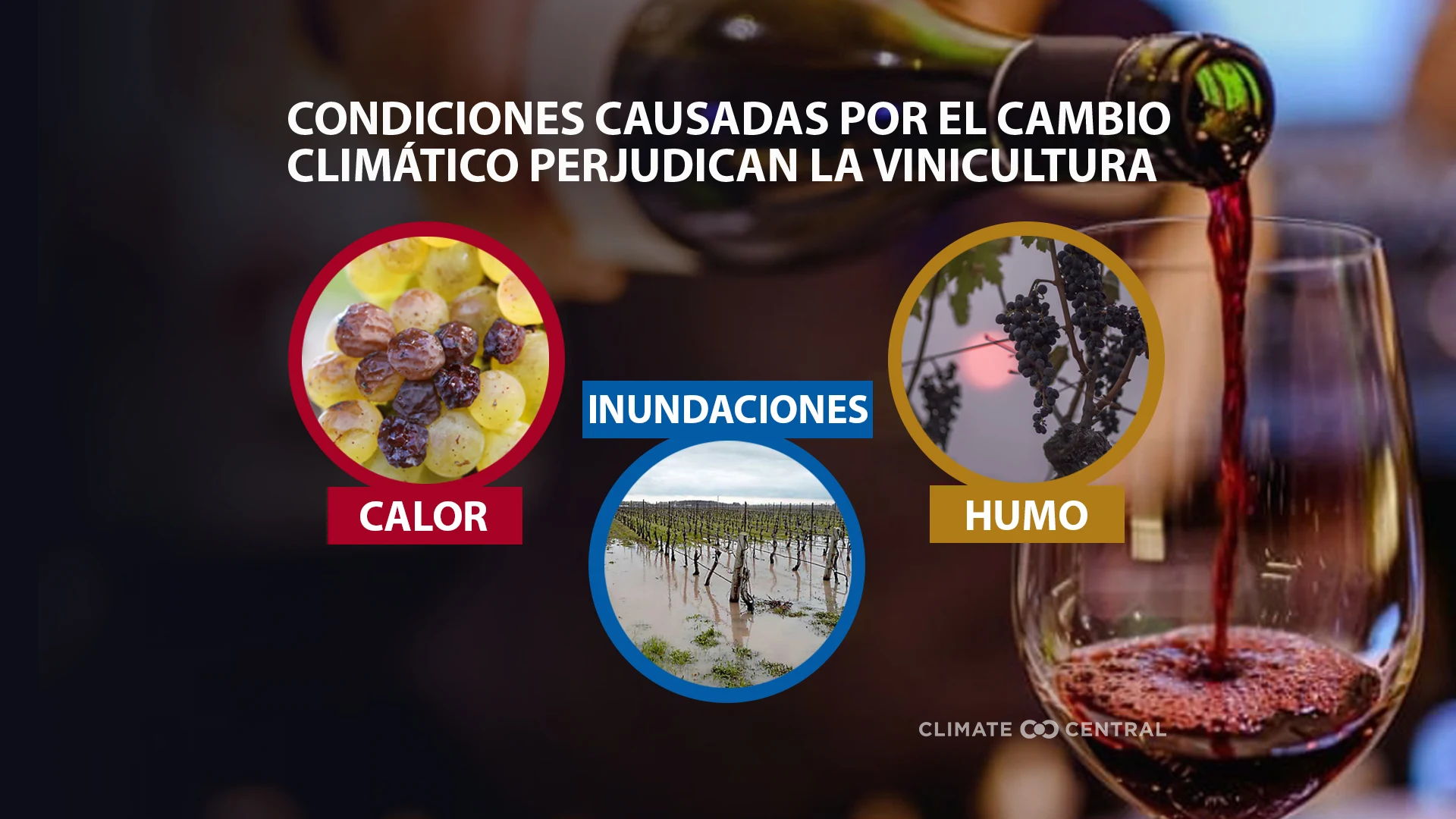 Infografía de los impactos del cambio climático en el vino - Climate Change & Wine