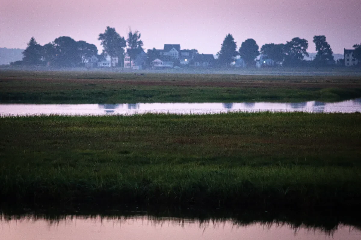 Marsh - Credit: Troy R. Bennett / BDN