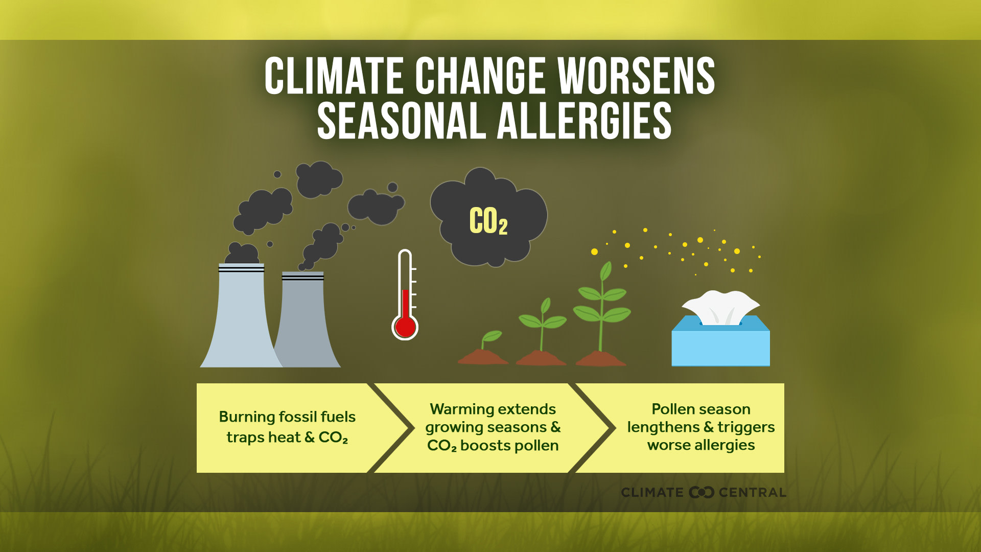 CM: Climate Change and Allergies (infographic/flowchart) 2024 (EN)